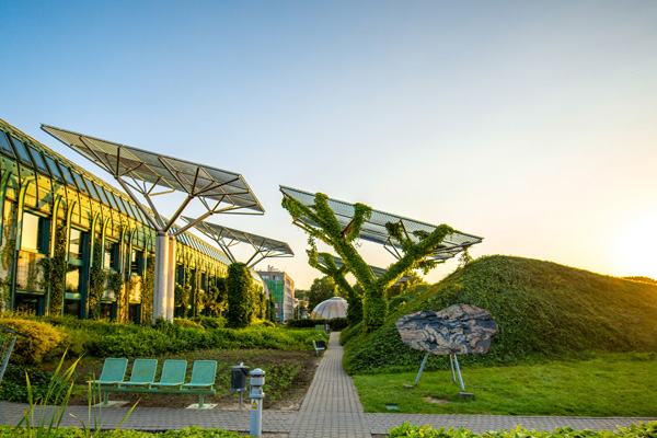 Nature based solutions und Entsiegelung
